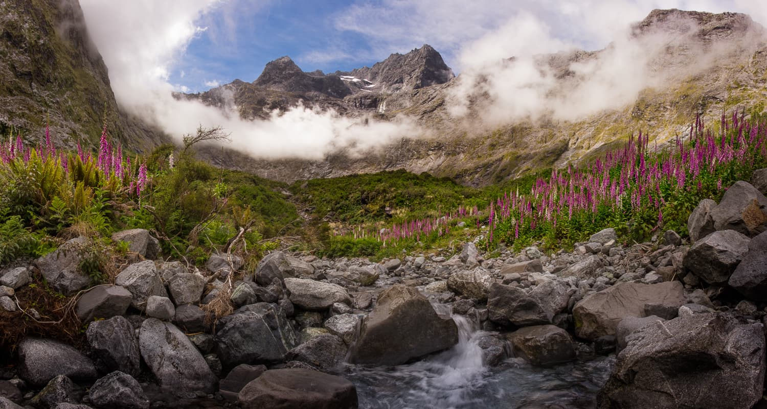 New Zealand